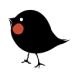 Avatar de orriborri